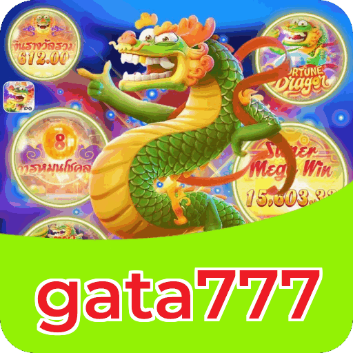 Suporte gata777